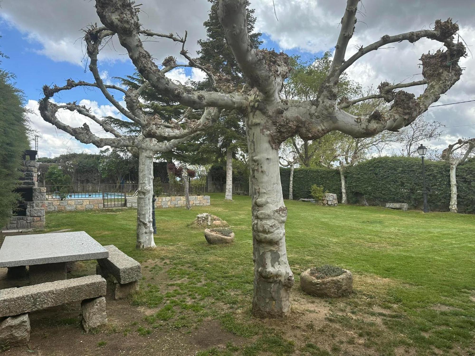 Casa Rural El Cordel La Serrada Exteriér fotografie